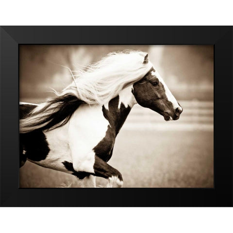 Gypsies Pride Black Modern Wood Framed Art Print by Walker, Carol