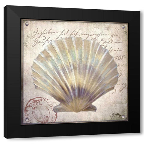 Beach Shell I Black Modern Wood Framed Art Print by Medley, Elizabeth