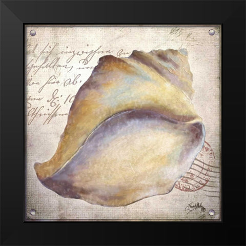 Beach Shell II Black Modern Wood Framed Art Print by Medley, Elizabeth