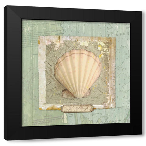 Seashore Collection II Black Modern Wood Framed Art Print with Double Matting by Medley, Elizabeth