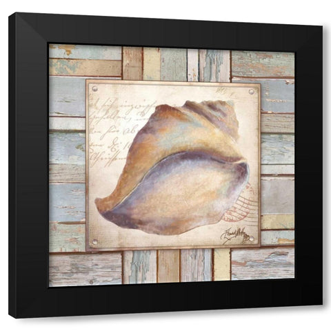 Beach Shell II Black Modern Wood Framed Art Print with Double Matting by Medley, Elizabeth