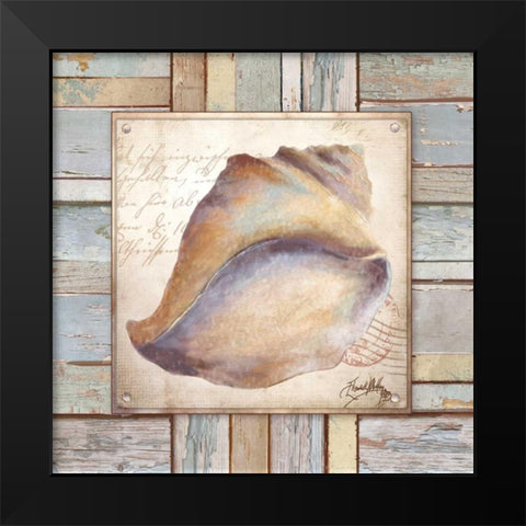 Beach Shell II Black Modern Wood Framed Art Print by Medley, Elizabeth