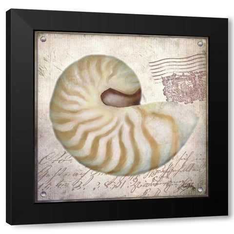 Beach Shell III Black Modern Wood Framed Art Print by Medley, Elizabeth