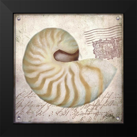 Beach Shell III Black Modern Wood Framed Art Print by Medley, Elizabeth