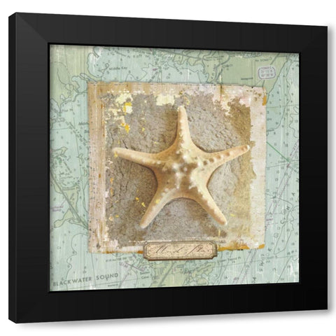 Seashore Collection III Black Modern Wood Framed Art Print with Double Matting by Medley, Elizabeth