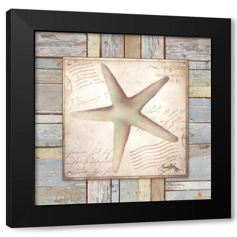 Beach Shell IV Black Modern Wood Framed Art Print with Double Matting by Medley, Elizabeth