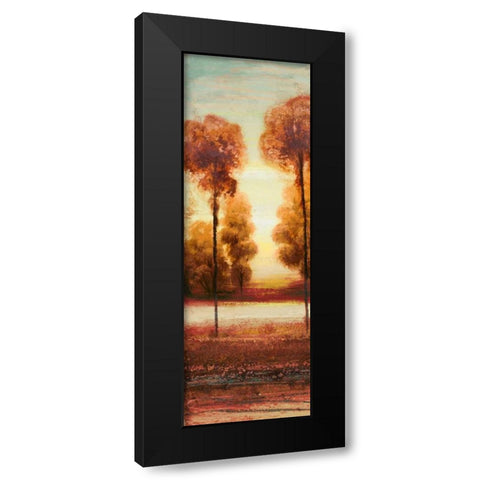 Vibrant Land I Black Modern Wood Framed Art Print by Marcon, Michael