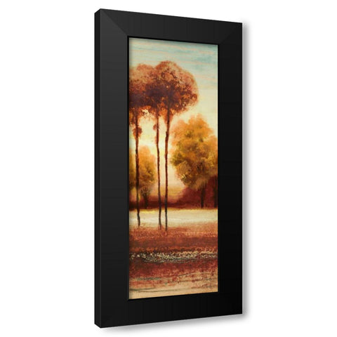 Vibrant Land II Black Modern Wood Framed Art Print with Double Matting by Marcon, Michael