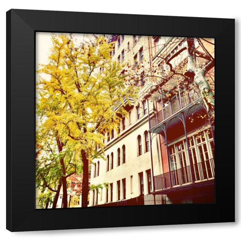 Chelsea Afternoon II Black Modern Wood Framed Art Print by Acosta, Juliana