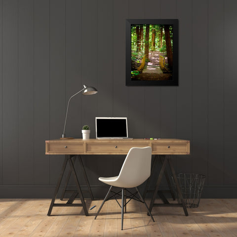 Forest Park Path Black Modern Wood Framed Art Print by Bryant, Susan
