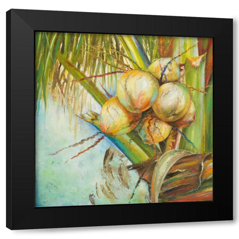 Patricias Coconuts II Black Modern Wood Framed Art Print with Double Matting by Pinto, Patricia