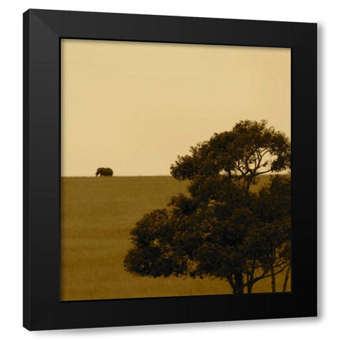 Elephant Pack III Black Modern Wood Framed Art Print with Double Matting by Bryant, Susan