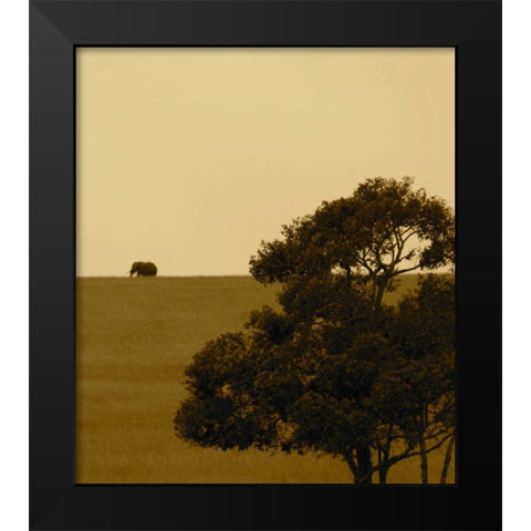 Elephant Pack III Black Modern Wood Framed Art Print by Bryant, Susan