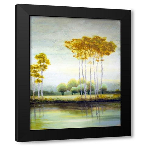 September Calm II Black Modern Wood Framed Art Print with Double Matting by Marcon, Michael