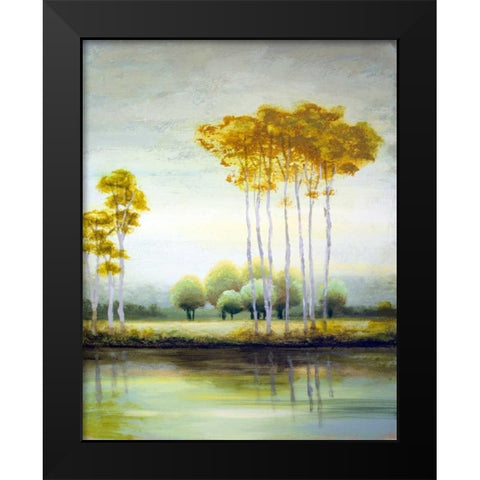 September Calm II Black Modern Wood Framed Art Print by Marcon, Michael