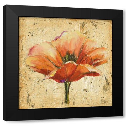 Poppy III Black Modern Wood Framed Art Print with Double Matting by Pinto, Patricia