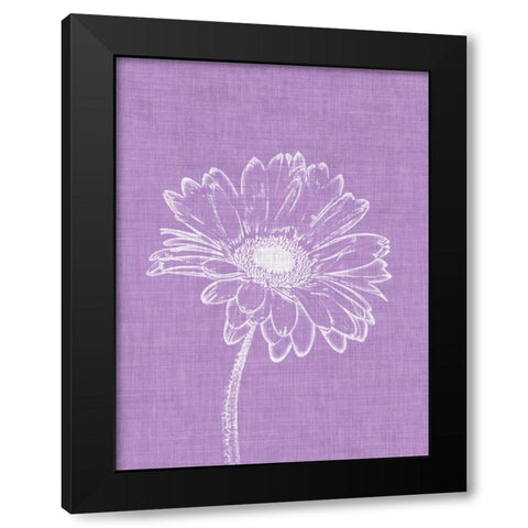 Purple Daisies I Black Modern Wood Framed Art Print with Double Matting by Peck, Gail