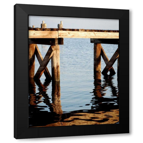 Waterside Beauty I Black Modern Wood Framed Art Print with Double Matting by Peck, Gail