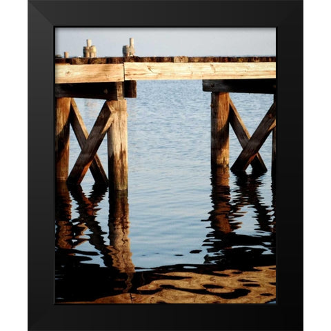 Waterside Beauty I Black Modern Wood Framed Art Print by Peck, Gail