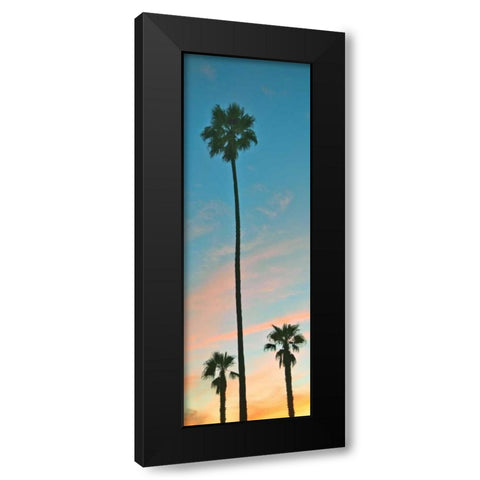 Sunset Palms Black Modern Wood Framed Art Print by Peck, Gail