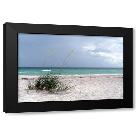 Shoreline Black Modern Wood Framed Art Print with Double Matting by Peck, Gail