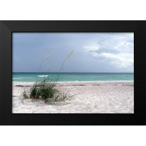 Shoreline Black Modern Wood Framed Art Print by Peck, Gail