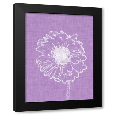 Purple Daisies II Black Modern Wood Framed Art Print with Double Matting by Peck, Gail