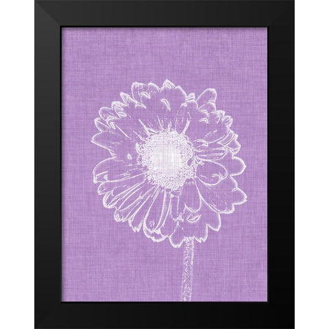 Purple Daisies II Black Modern Wood Framed Art Print by Peck, Gail