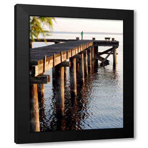 Waterside Beauty II Black Modern Wood Framed Art Print by Peck, Gail