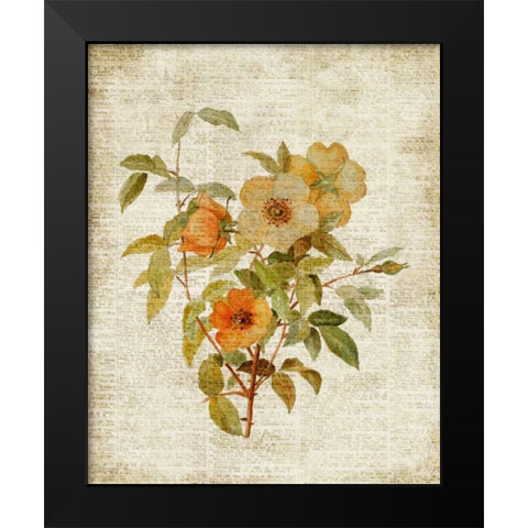 Roses on Newsprint I Black Modern Wood Framed Art Print by Loreth, Lanie