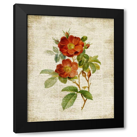 Roses on Newsprint II Black Modern Wood Framed Art Print by Loreth, Lanie