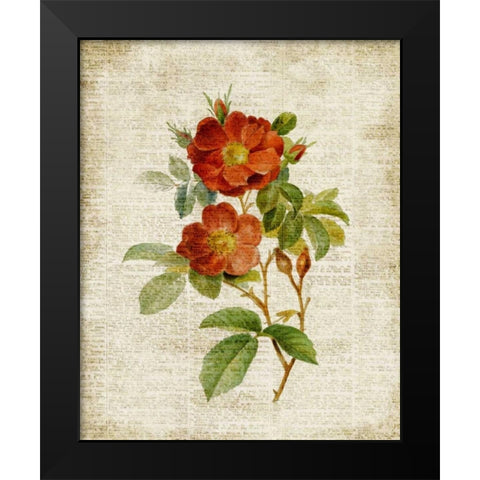 Roses on Newsprint II Black Modern Wood Framed Art Print by Loreth, Lanie