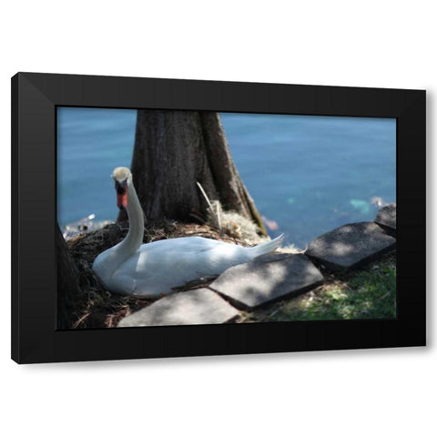 Blue Sky Beach I Black Modern Wood Framed Art Print by Rodriguez, Jairo