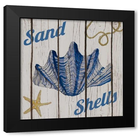 Nautical Shells I Black Modern Wood Framed Art Print with Double Matting by Ritter, Gina