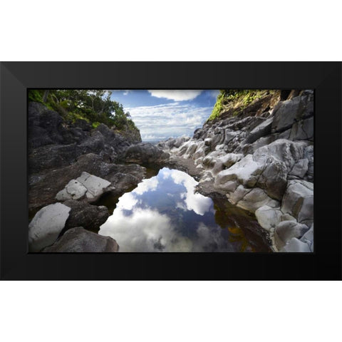 Reflecting Ravine Black Modern Wood Framed Art Print by Nawrocke, Bruce
