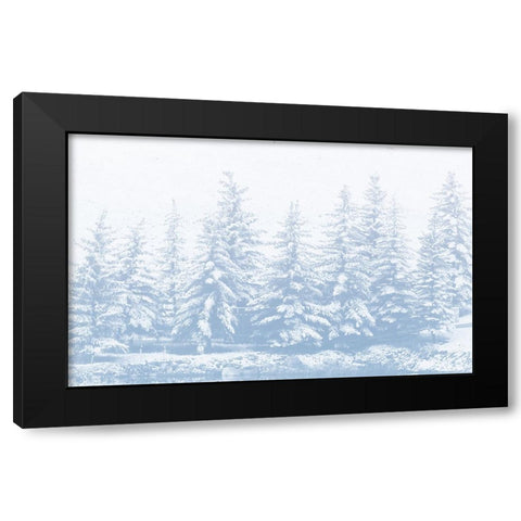 Winter Forest Black Modern Wood Framed Art Print with Double Matting by Mansfield, Kathy