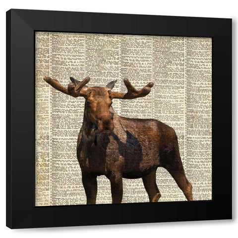 Country Moose I Black Modern Wood Framed Art Print by Coppel, Anna