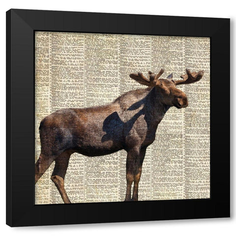 Country Moose II Black Modern Wood Framed Art Print with Double Matting by Coppel, Anna
