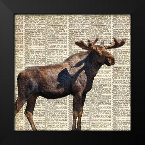 Country Moose II Black Modern Wood Framed Art Print by Coppel, Anna