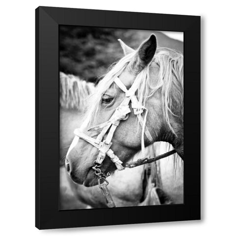 Before the Ride I Black Modern Wood Framed Art Print by Coppel, Anna