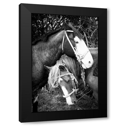 Before the Ride II Black Modern Wood Framed Art Print by Coppel, Anna