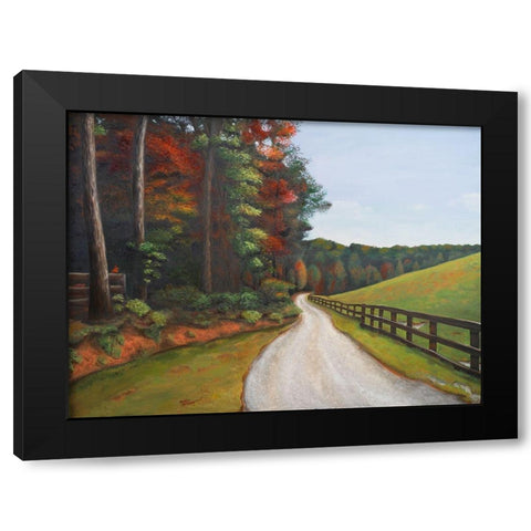 Country Road I Black Modern Wood Framed Art Print with Double Matting by Hakimipour, Tiffany