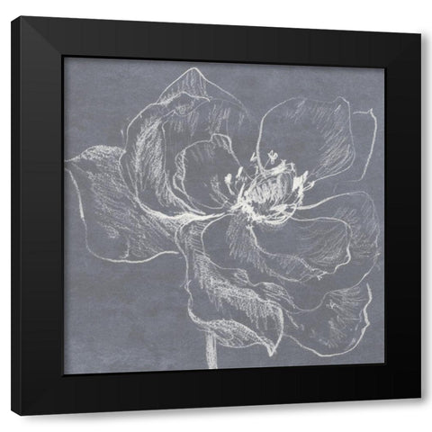 Neutral Floral Drawing I Black Modern Wood Framed Art Print with Double Matting by Loreth, Lanie