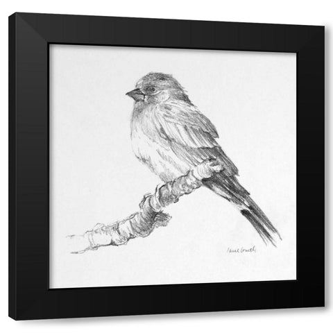 Bird Drawing I Black Modern Wood Framed Art Print with Double Matting by Loreth, Lanie