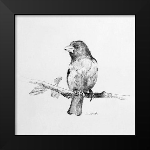 Bird Drawing IV Black Modern Wood Framed Art Print by Loreth, Lanie