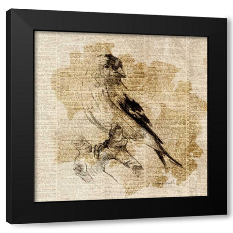 Bird Study III Black Modern Wood Framed Art Print with Double Matting by Loreth, Lanie