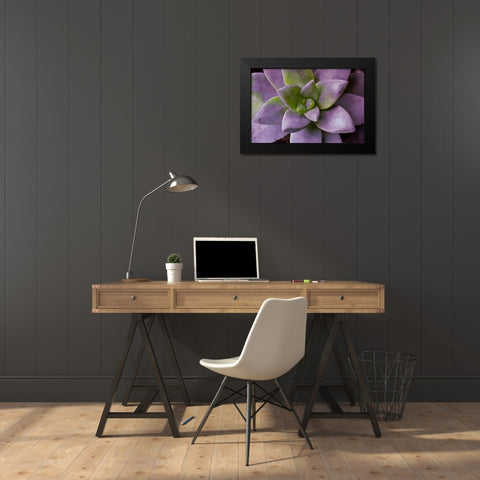 Purple Succulent I Black Modern Wood Framed Art Print by Bryant, Susan