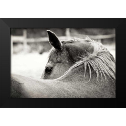 Over His Shoulder Black Modern Wood Framed Art Print by Peck, Gail
