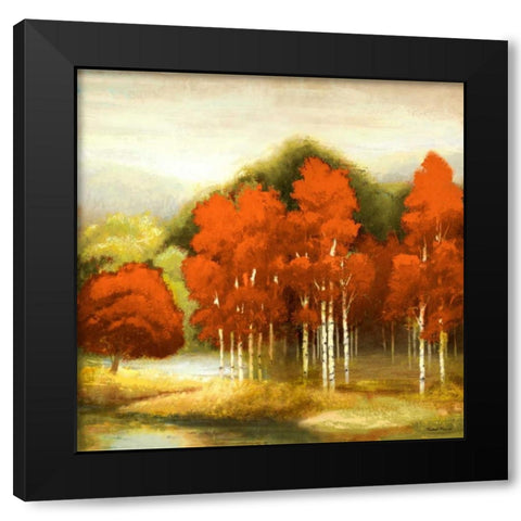 Autumn Birchwood I Black Modern Wood Framed Art Print by Marcon, Michael