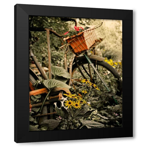 In the Fields I Black Modern Wood Framed Art Print by Nawrocke, Bruce